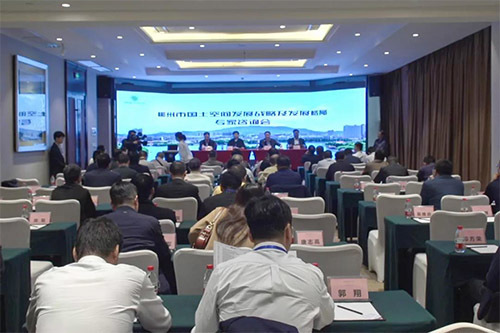 我市成功举办国土空间发展战略及发展格局专家咨询会